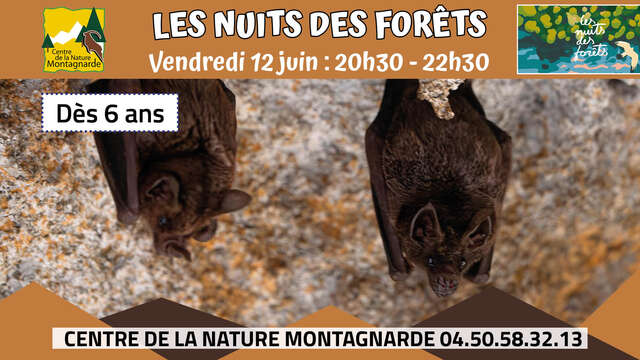 Les Nuits des Forêts