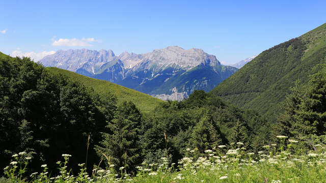 Col des Vachers