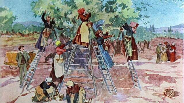 Conférence : Ils ont peint la Provence