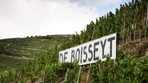 Wine Notes au Domaine De Boisseyt