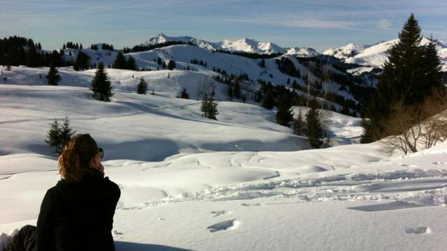 Sous le Ranfoilly en raquettes