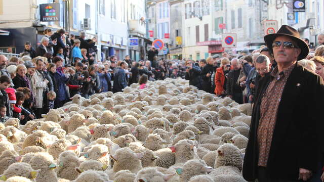 Messe en provençal et Grand défilé de la transhumance