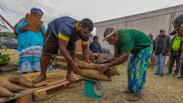 Foire des îles loyauté