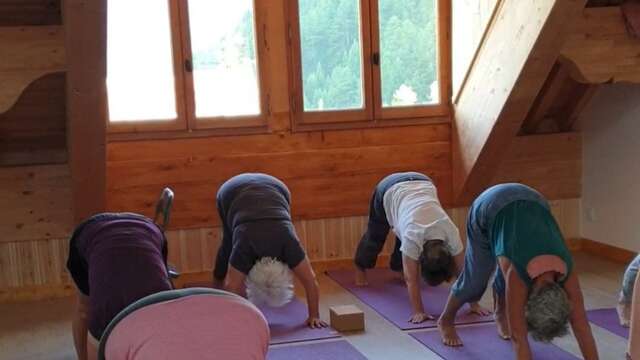 Yoga de La Tortue qui danse : étirements, cardio, reconnexion à soi, mouvements libérateurs