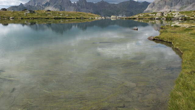 Week-end détente : « Souffler et se dynamiser en montagne » - Au sens de nos pas