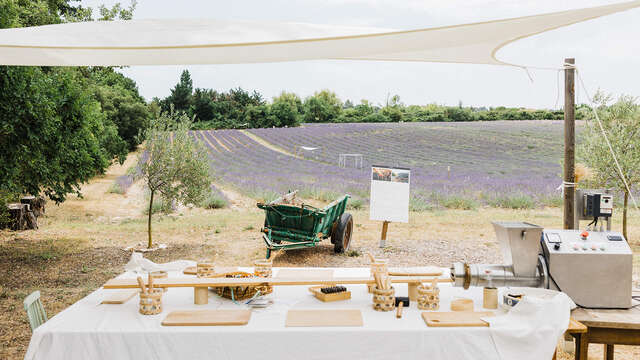 Atelier savon et visite des champs de lavande