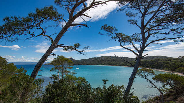 Viaggio di andata e ritorno a Porquerolles con Les Bateliers de la Côte d'Azur