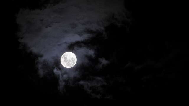 Nocturne en raquettes à Glières
