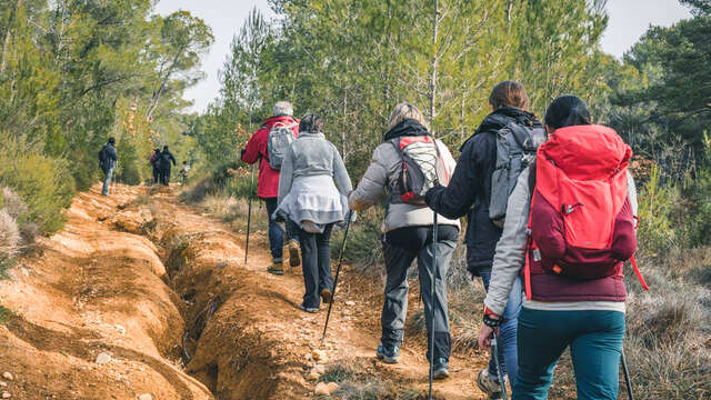 Marche Nordique, balade avec Airfit Provence