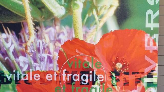 Ausstellung "Biologische Vielfalt"