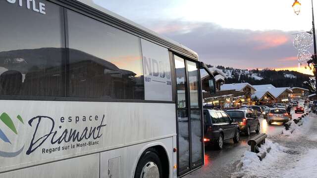 Shuttle Bus