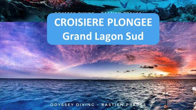 Croisière plongée grand lagon sud