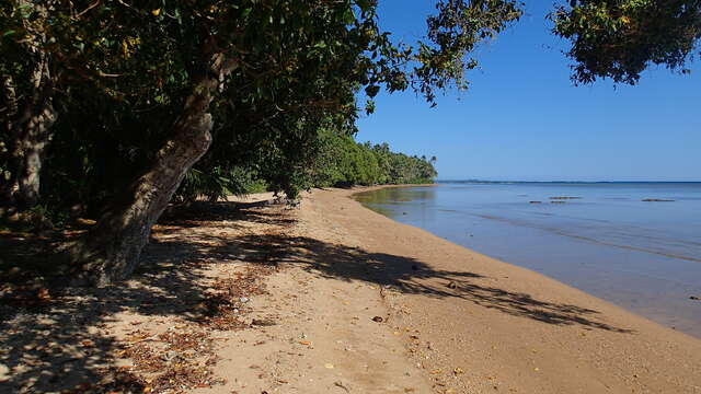 Beach of the "Pierre ATTI" campsite.