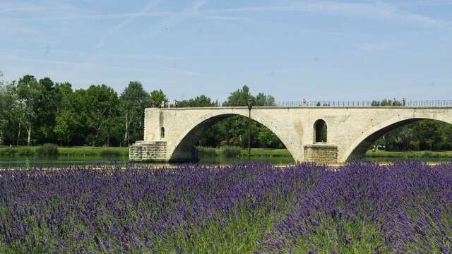 Ponte di Avignone