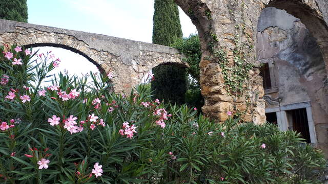 Chapelle et Fontaine Saint Jean