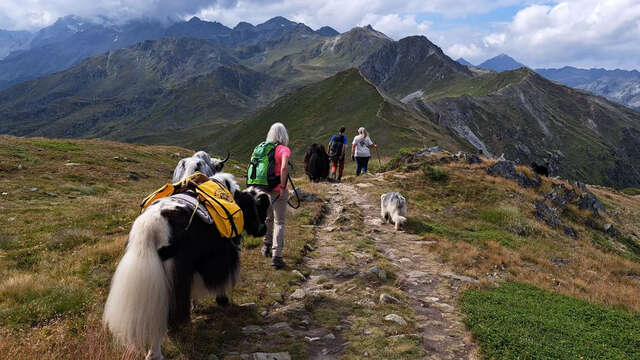 Wanderung über die Bergkämme mit den Yaks