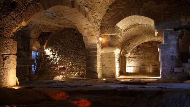 Caves du Palais Saint-Firmin