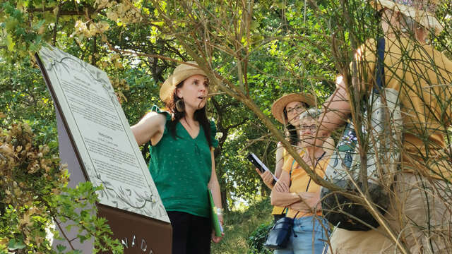 Visite guidée - Promenade Cezanne à Gardanne