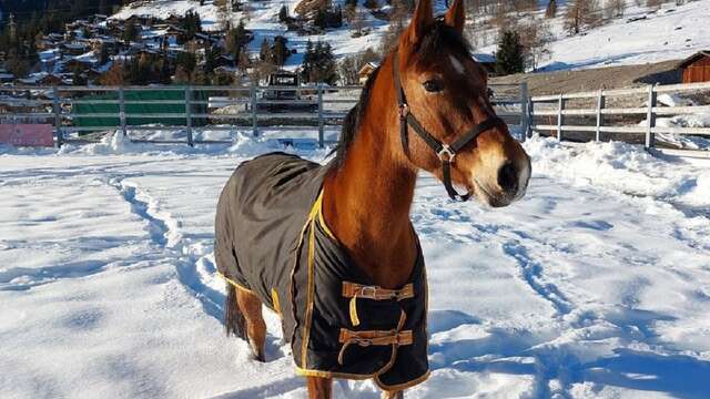 Equestrian centre Verbier