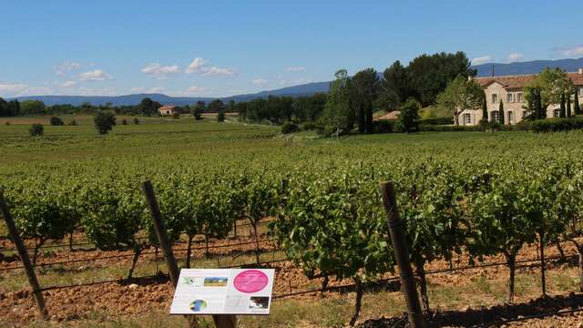 Sentier vigneron de Château Paradis