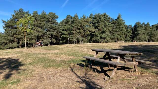 Grande aire de pique-nique de la Tour Matagrin