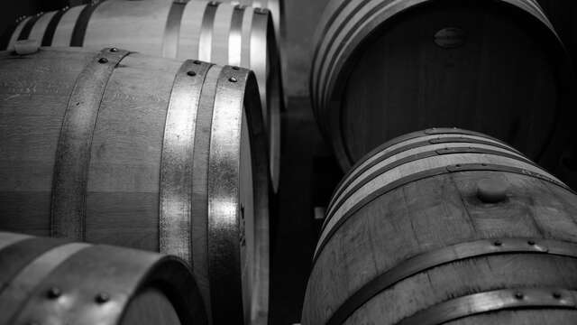 Visite de cave & dégustation au Domaine de la Coquillade