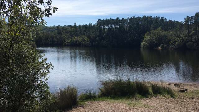 Promenade : Le Lac du Rioutard - Saint-Paul-en-Forêt