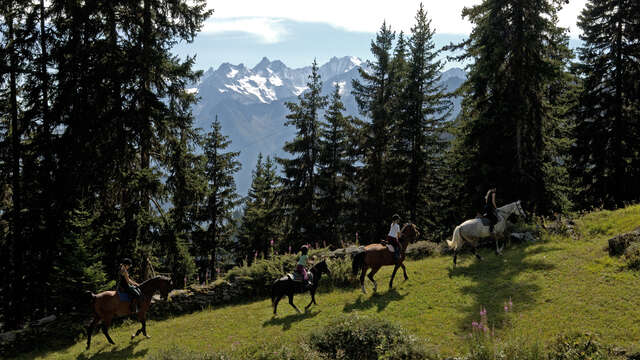 Equestrian centre Verbier