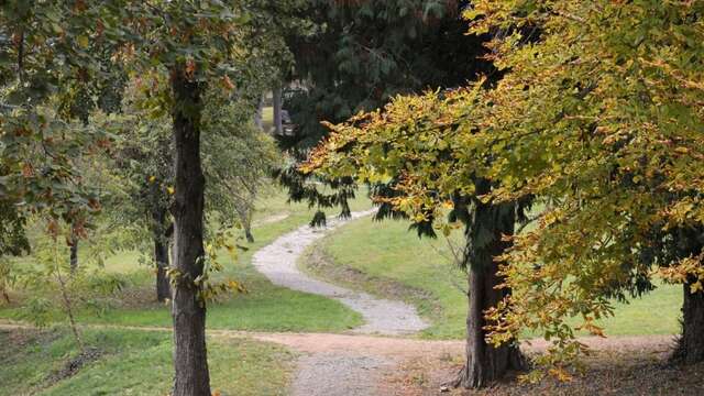Le parc des eaux minérales