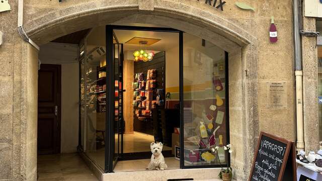 Yapagaspi - Cordeliers