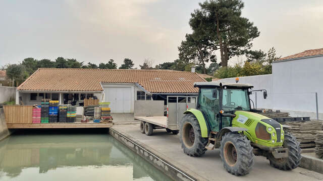 Visit an oyster shack and immerse yourself in the production process (1h) by Dealer d'Iode