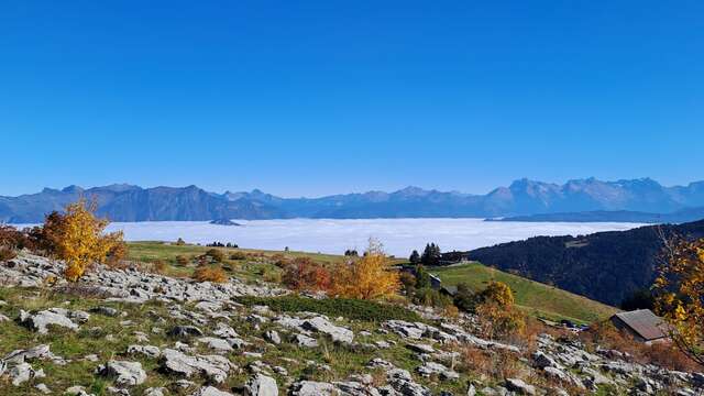 journées européennes du patrimoine 2026 : Randonnée pédagogique vers la glacière