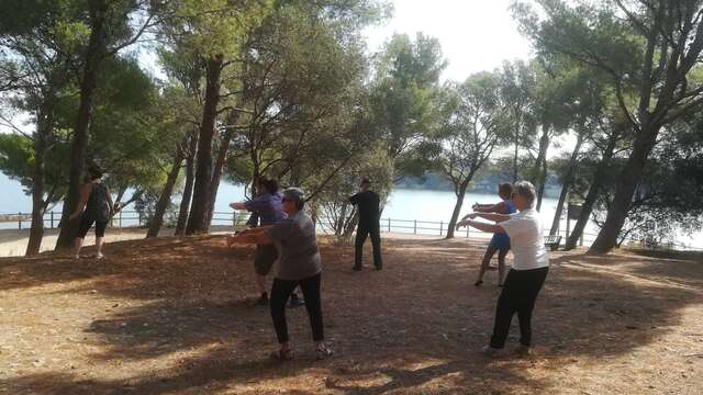 Tai Chi Chuan au milieu des dinosaures