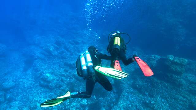 Entdeckung : Schnuppertauchen - Lecques Aquanaut