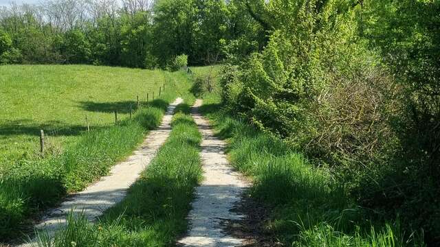 Circuit VTT-VTC n°25 (rouge) Comté de Montrevel - Domaine du Sougey