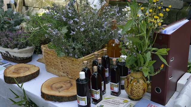 Le Mas des Collines - Ateliers des plantes sauvages