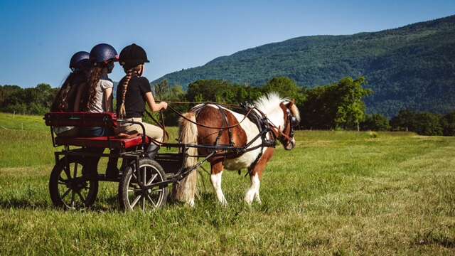 Terre et Ciel - equestrian activities and educational farm