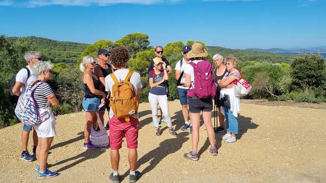Balade à Ramatuelle - Faune et flore d'ici... et d'ailleurs