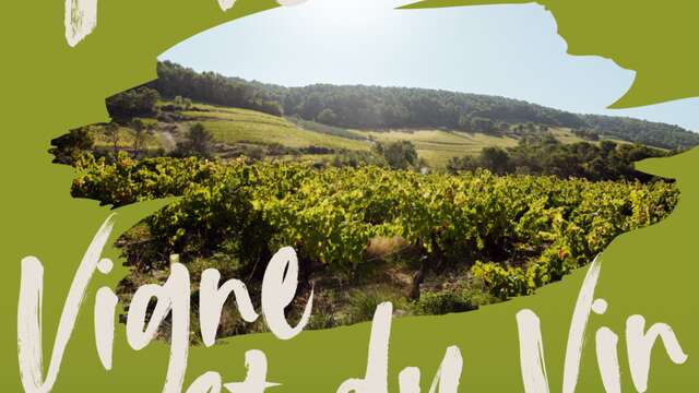 Fête de la vigne et du vin - Vins Laurent Bellion