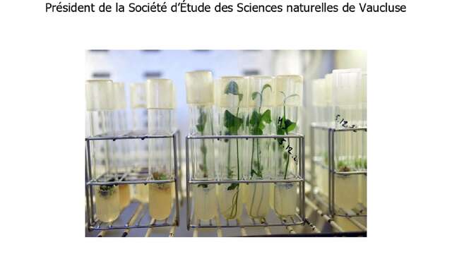 Conferenza a Val Rahmeh: "La coltura in vitro, una biotecnologia al servizio della produzione vegetale".