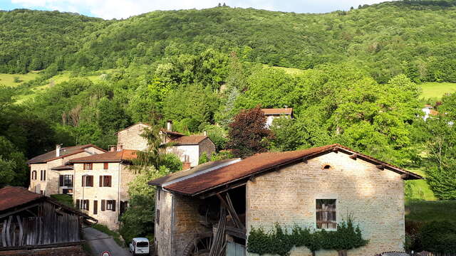 Visite de l'ancien moulin et fabrication d'huile de noix