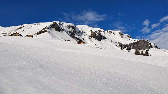 Boucle de l'Avenaz - sentier raquettes