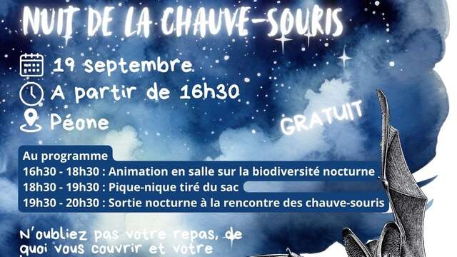 Nuit de la chauve-souris