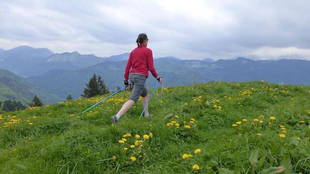 Marche nordique pour tous