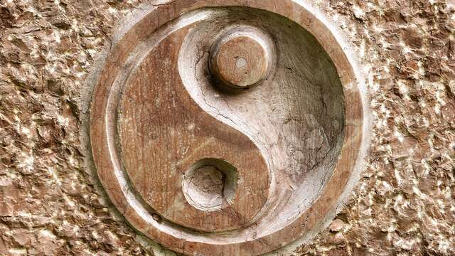 Cours de Qi Gong