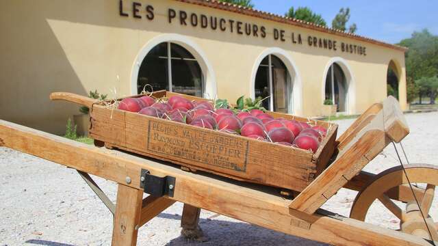 Les Producteurs de la Grande Bastide