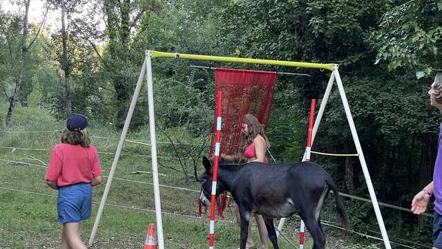 Escap'âne repas compris avec les ânes de Bon'âne-Venture