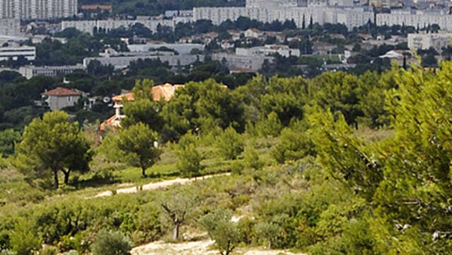 Séances d'entraînement observations Inaturalist, CNC 2026