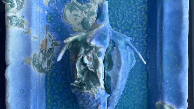 Visite guidée contée : La dame Blanche