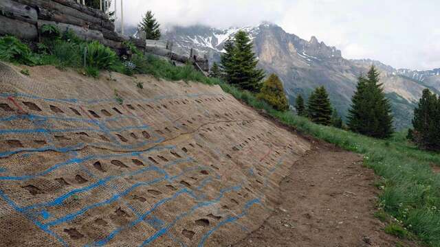 Conférence - Restaurer les talus de montagne, semences sauvages ou commerciales ?